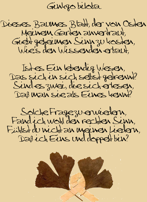 Goethe Gedicht Ginko Biloba